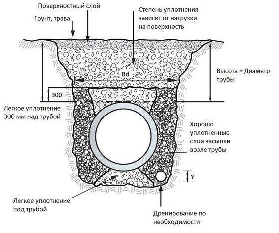 2.jpg?lang=ru